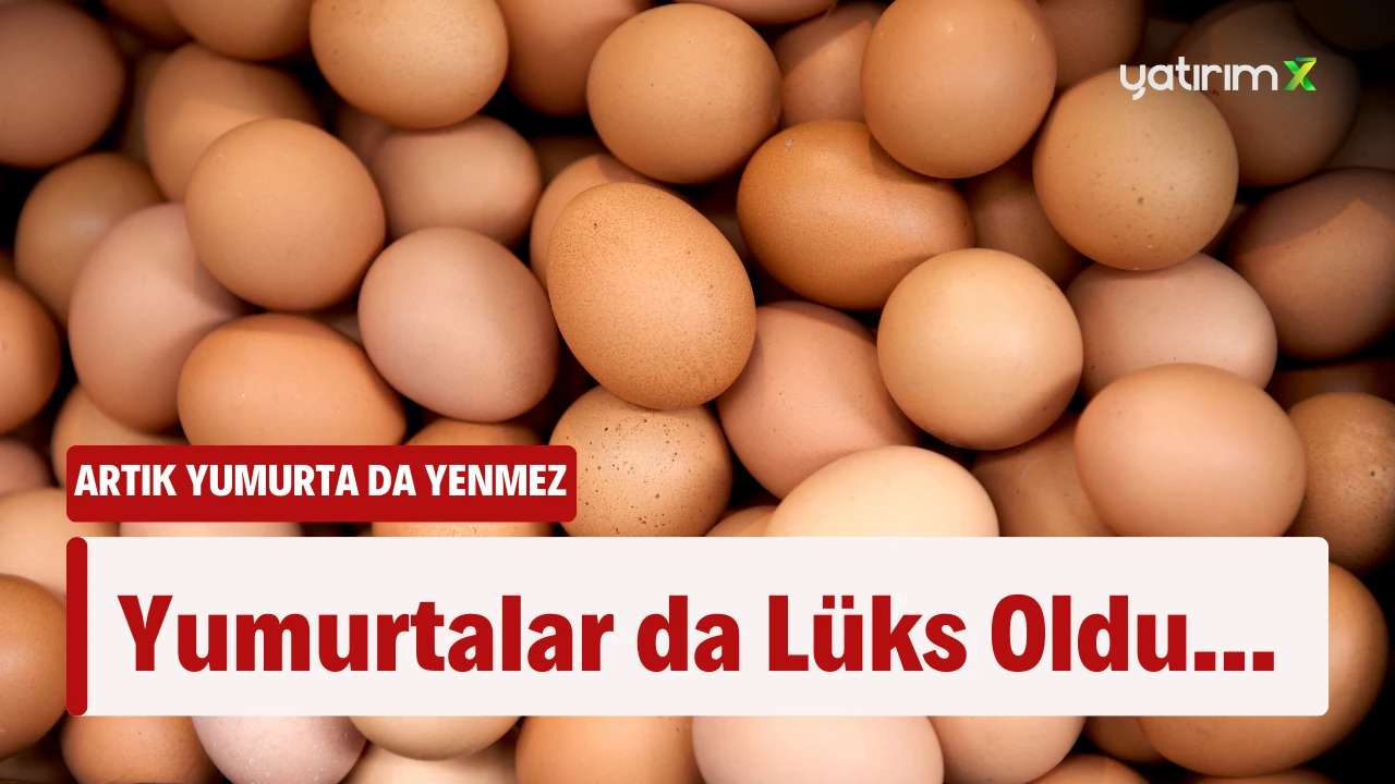 Yumurtalar da Lüks Oldu...