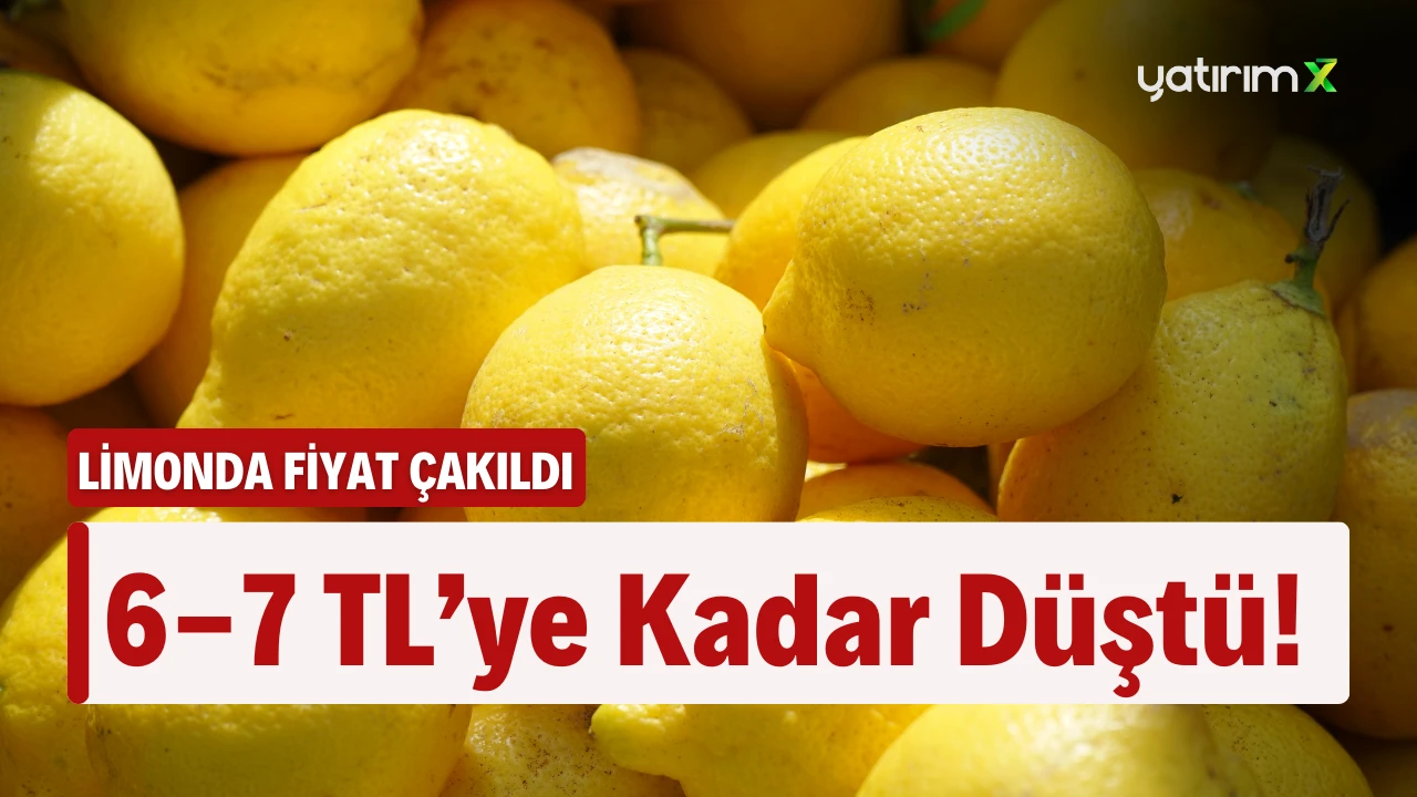 Limonda Hasat Rekoru... Fiyatlar 6-7 TL Arasına Geriledi