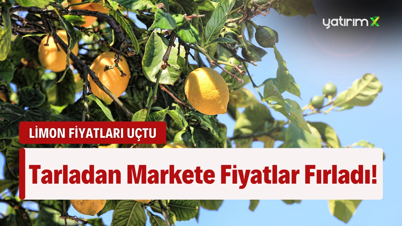 Limonun Fiyatı Yüzde 597.4 Arttı