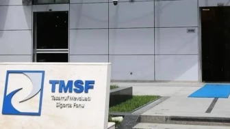 TMSF İki Şirketi Satışa Çıkardı