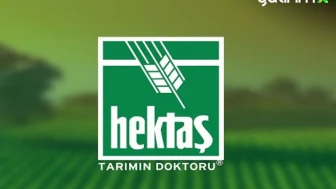 Hektaş (HEKTS) Hedef Fiyat 2025