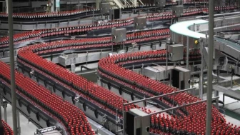 Coca-Cola'nın Karı 2024'te Yarıya Düştü!