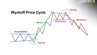 Cycle Çizgileri Nedir?