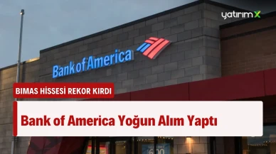 BofA Dev Hissede Rekor Alım Gerçekleştirdi