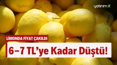 Limonda Hasat Rekoru... Fiyatlar 6-7 TL Arasına Geriledi