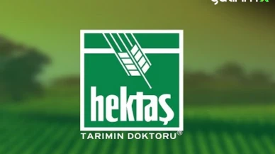 Hektaş (HEKTS) Hisse Yorumu Şubat 2025