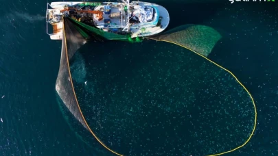 Türkyılmaz, Karadeniz Balık Kotaları Hakkında Açıklama Yaptı.