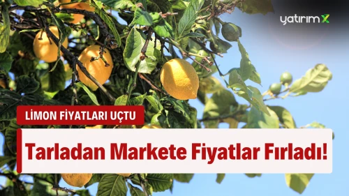 Limonun Fiyatı Yüzde 597.4 Arttı