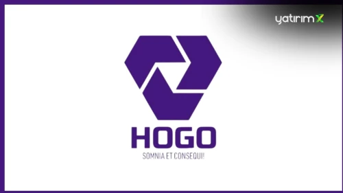 Yerli Oyun Şirketi HOGO Games: Mobil ve PC Oyunları Geliştiriyor